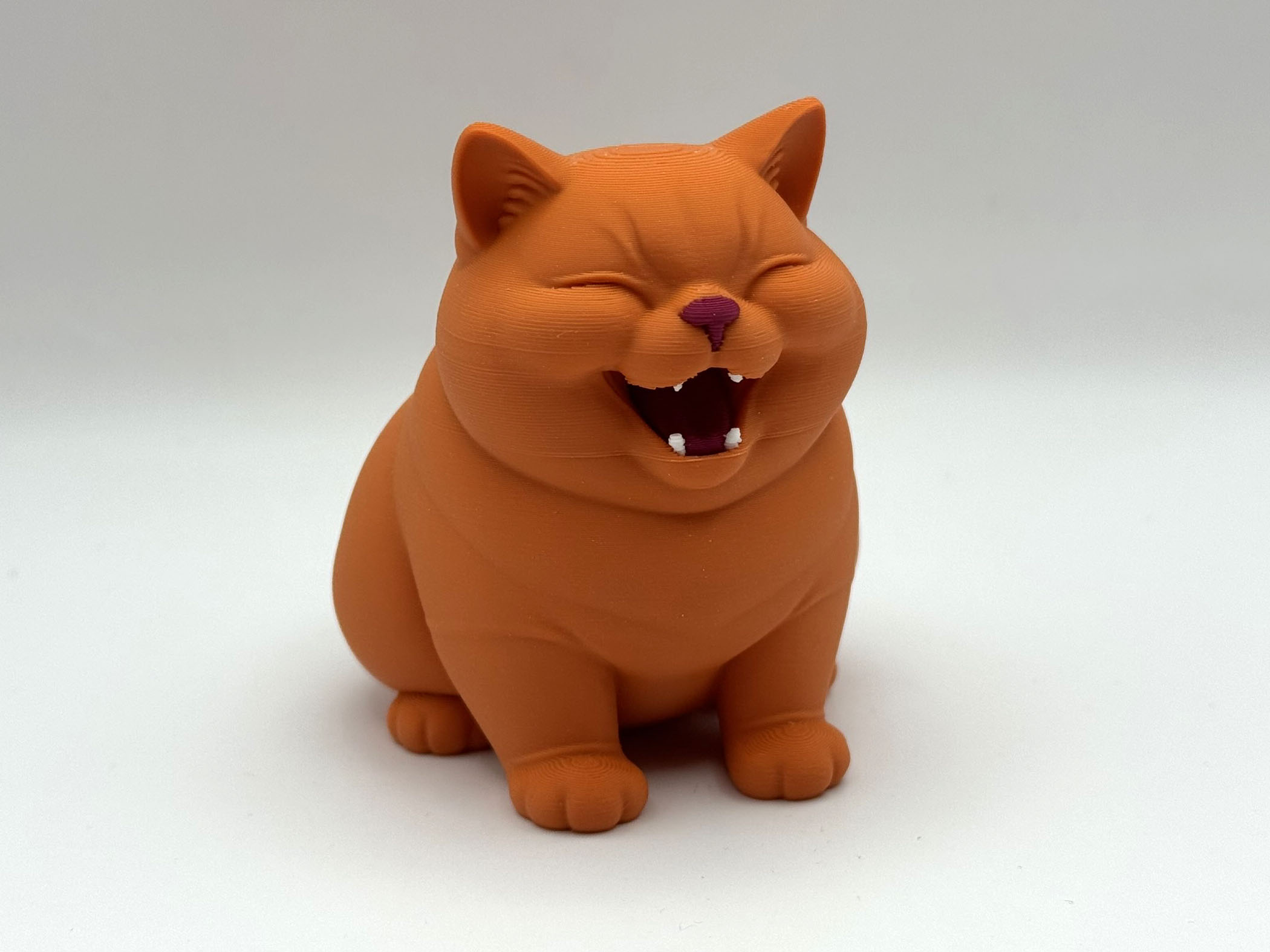 Happy Chonk Kitten