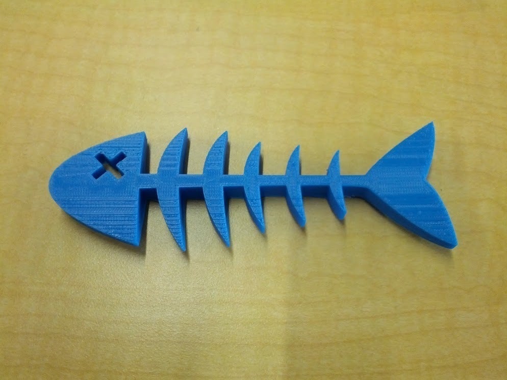 Fish Skeleton Magnet