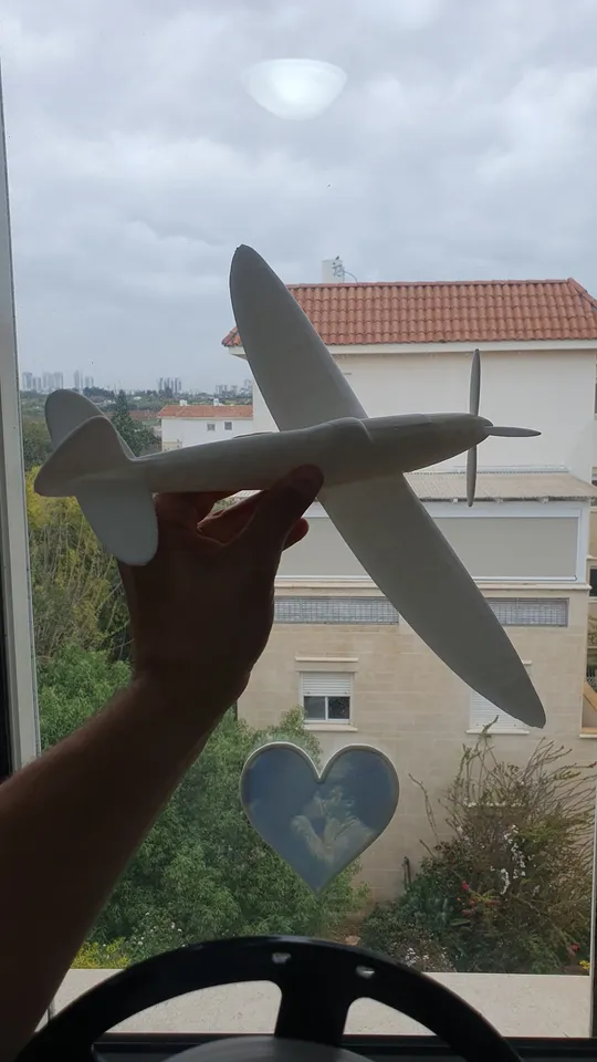 Spitfire plane by Omer Meshy Download free STL model