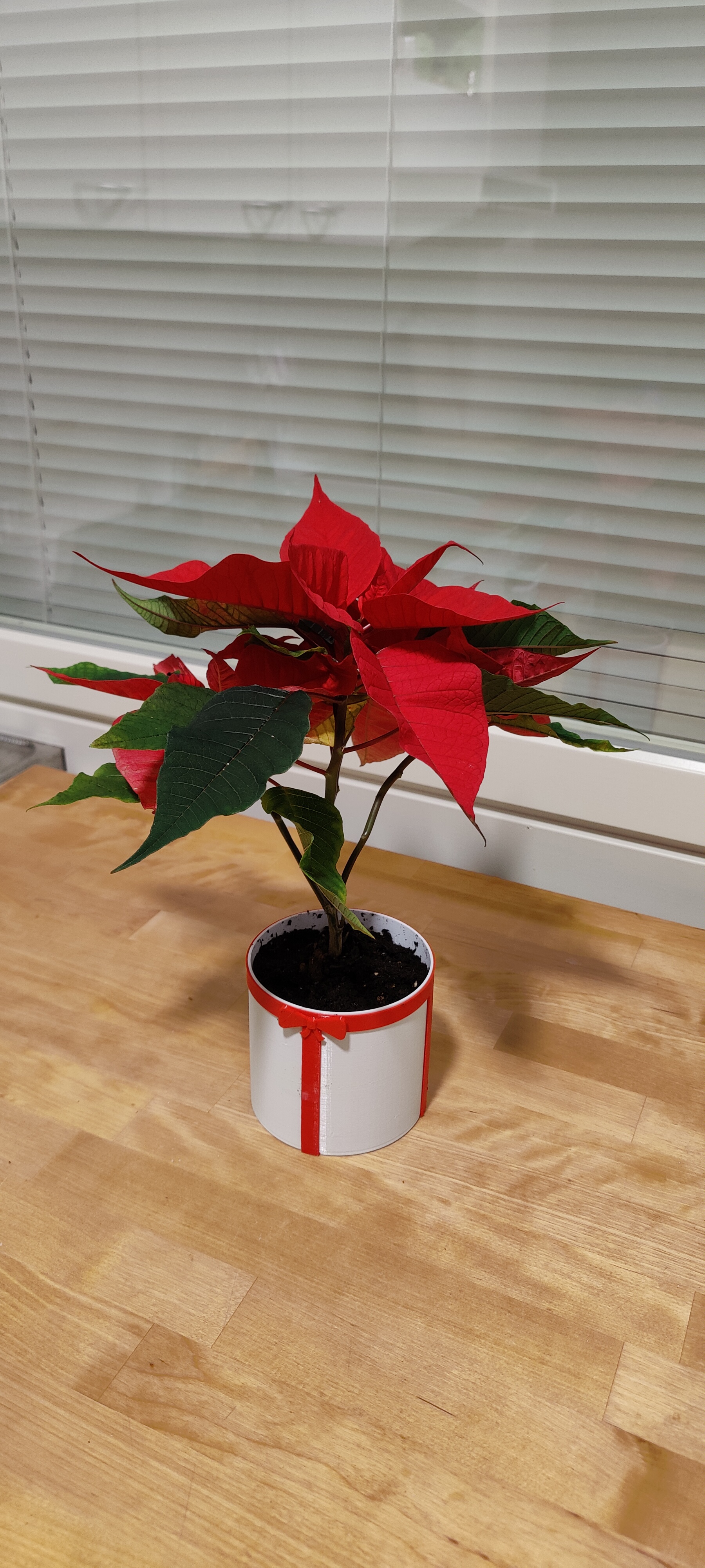 Flower pot, christmas edition