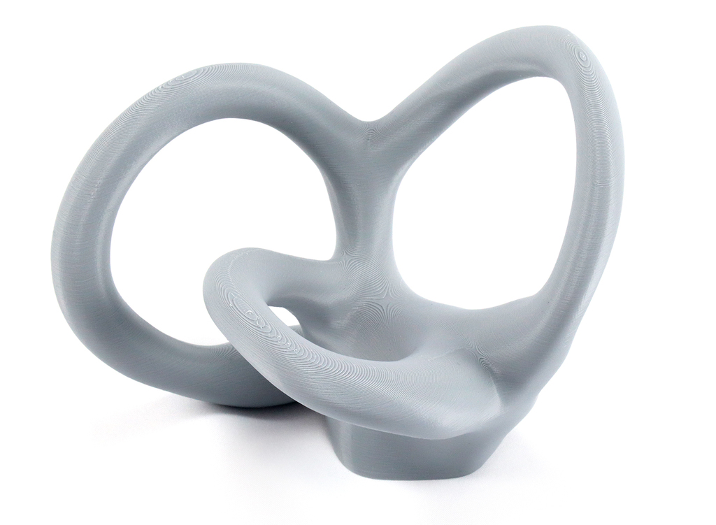 Vestibular Apparatus Education Model