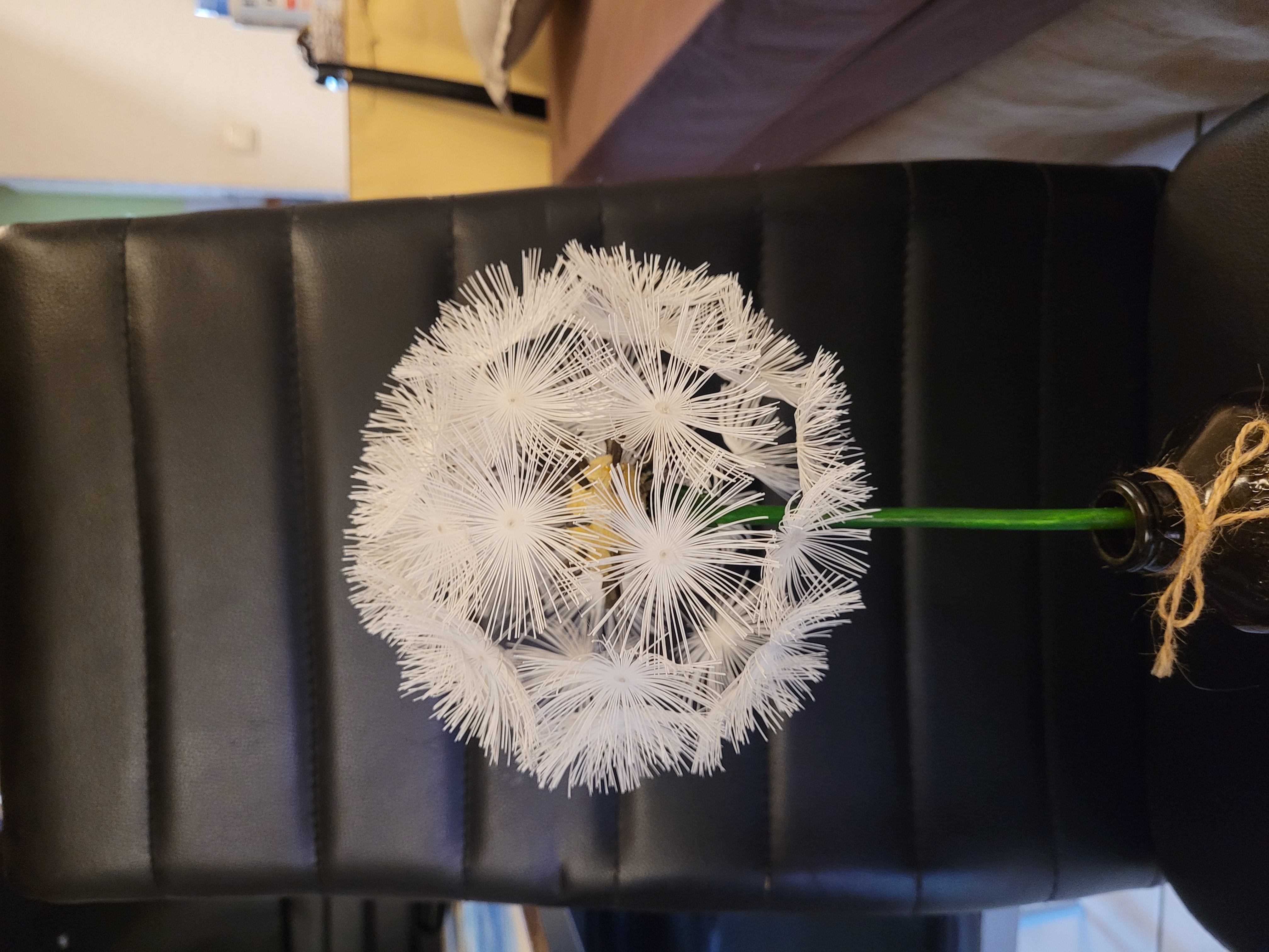 Dandelion