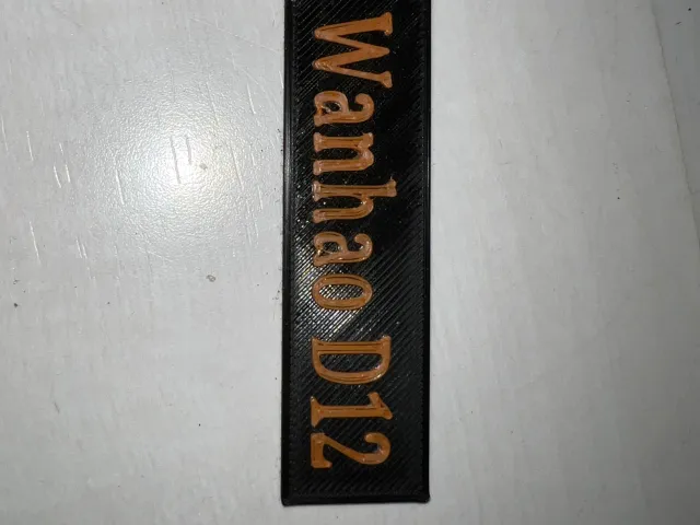 Logo Wanhao D12