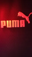 Puma Logo Keychain by MrViddy, Download free STL model