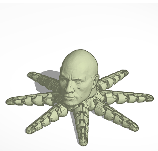The Rocktopus Type 2