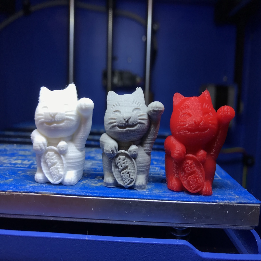 Money Cat Valve Cap Schrader