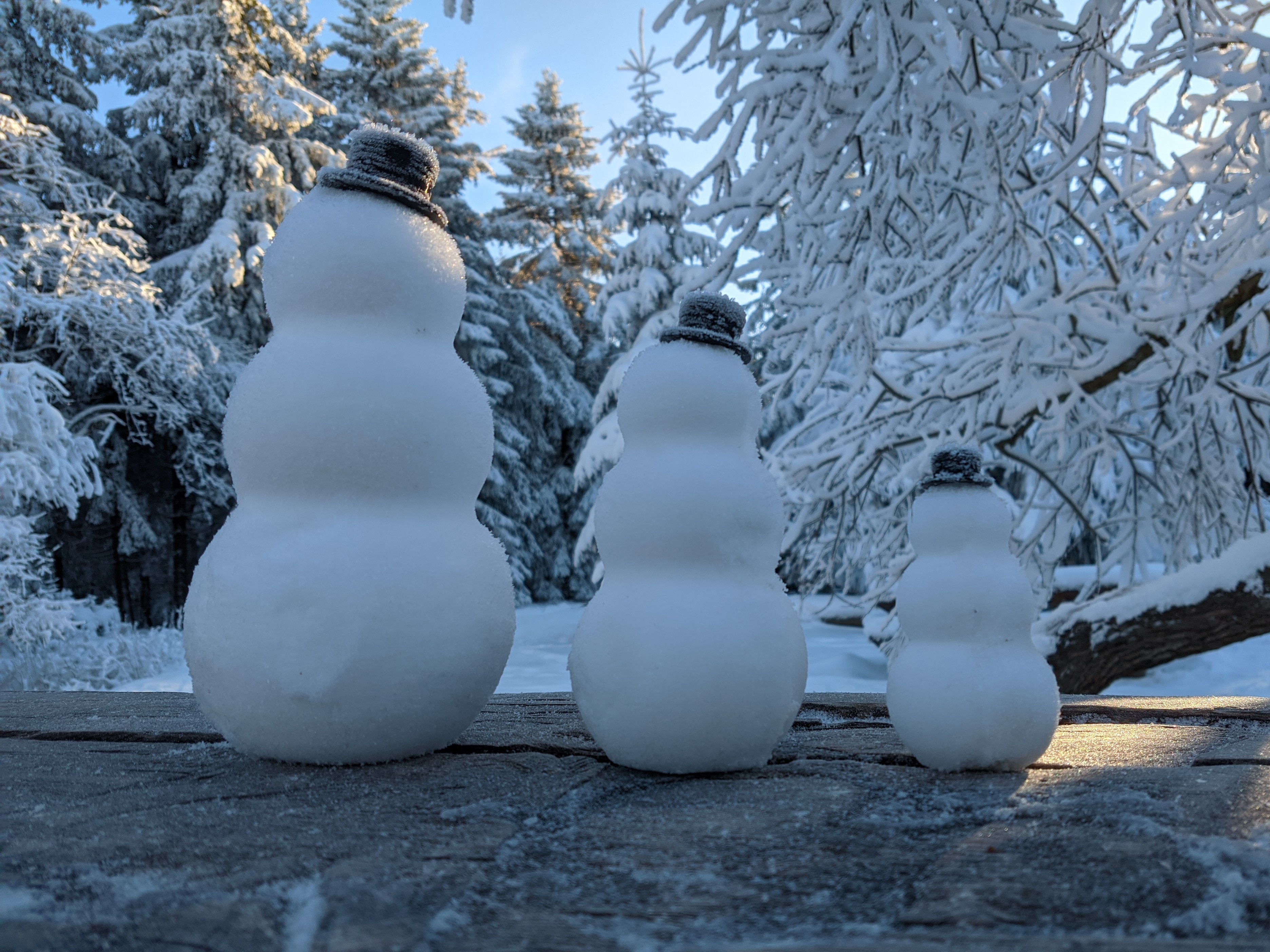 Miniatura 5 do modelo 3D Simple Snowman Molds