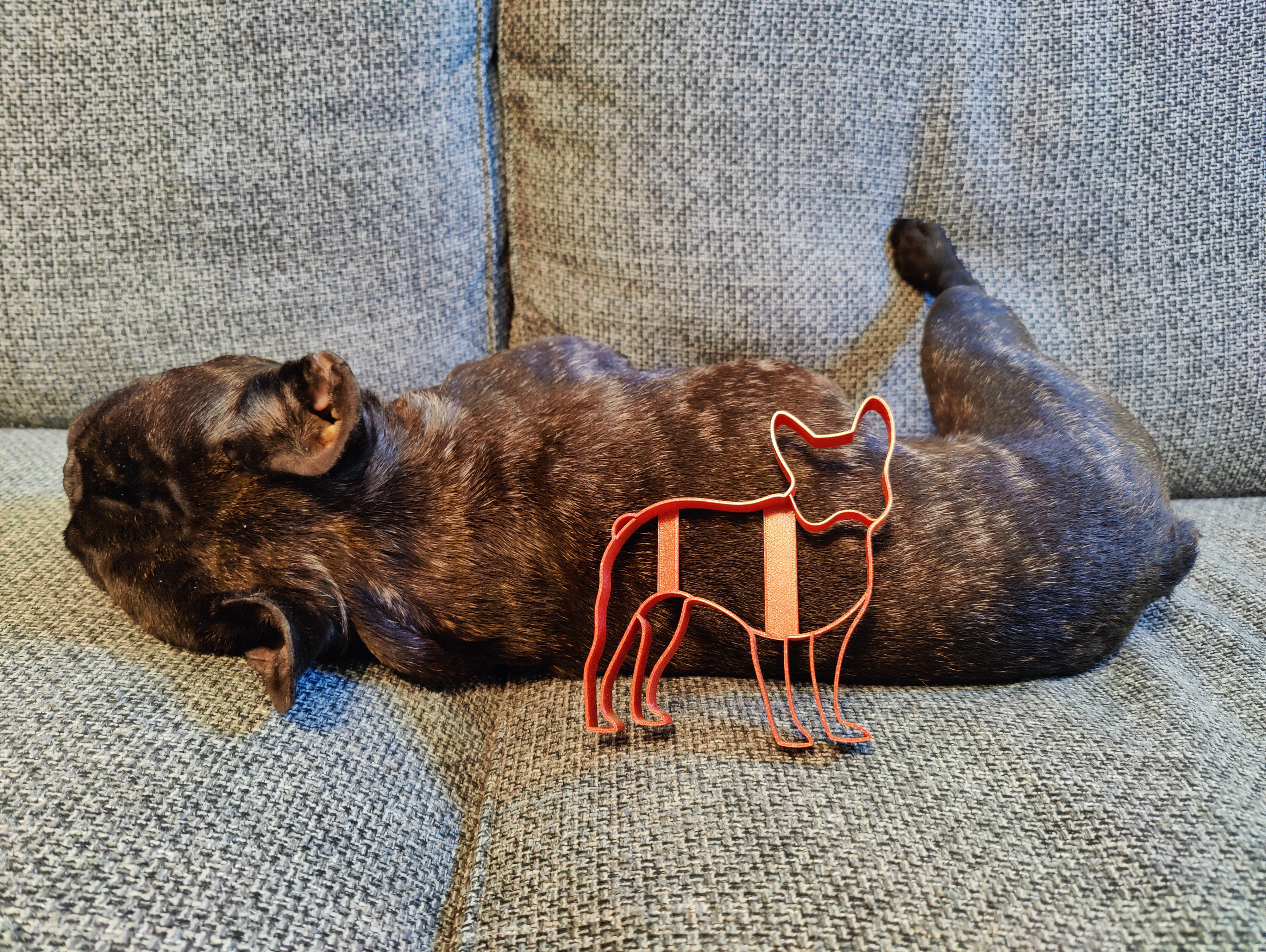 French Bulldog cookie cutter