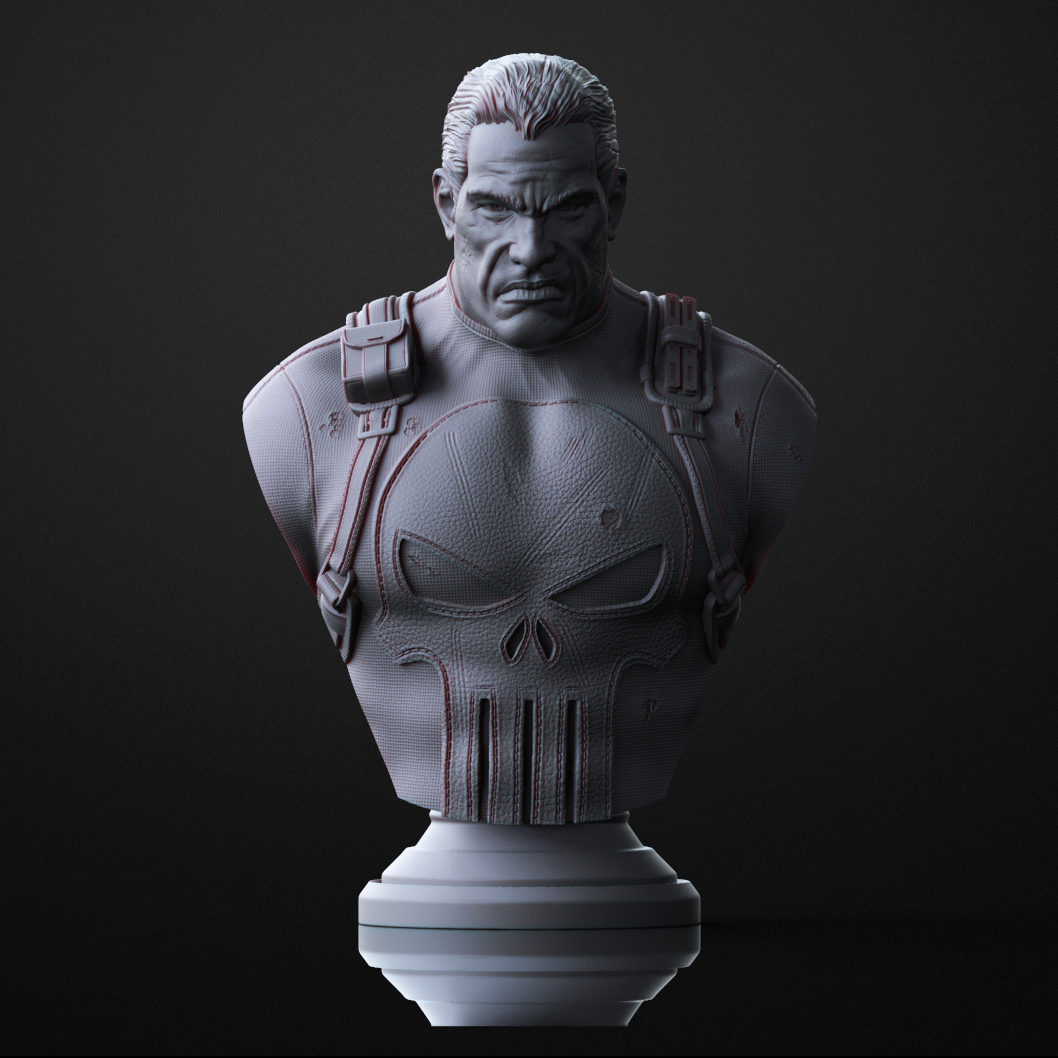 The Punisher bust