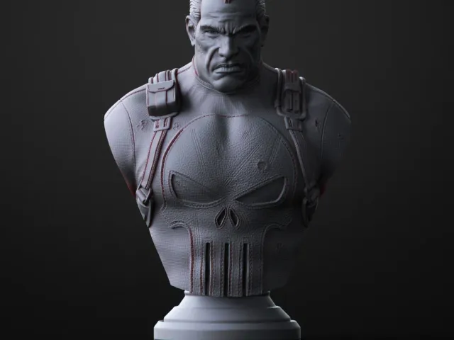 The Punisher bust