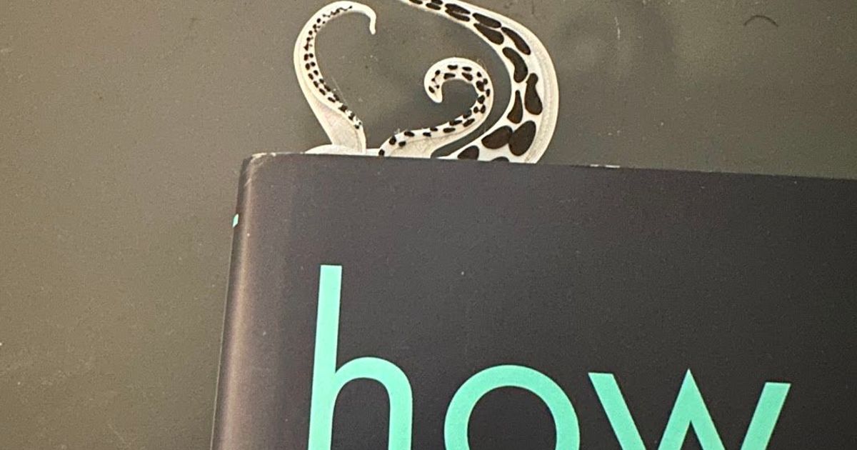 Kraken Bookmark v1 by ro_qu | Download free STL model | Printables.com