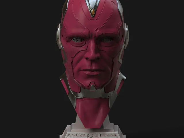 Vision Head