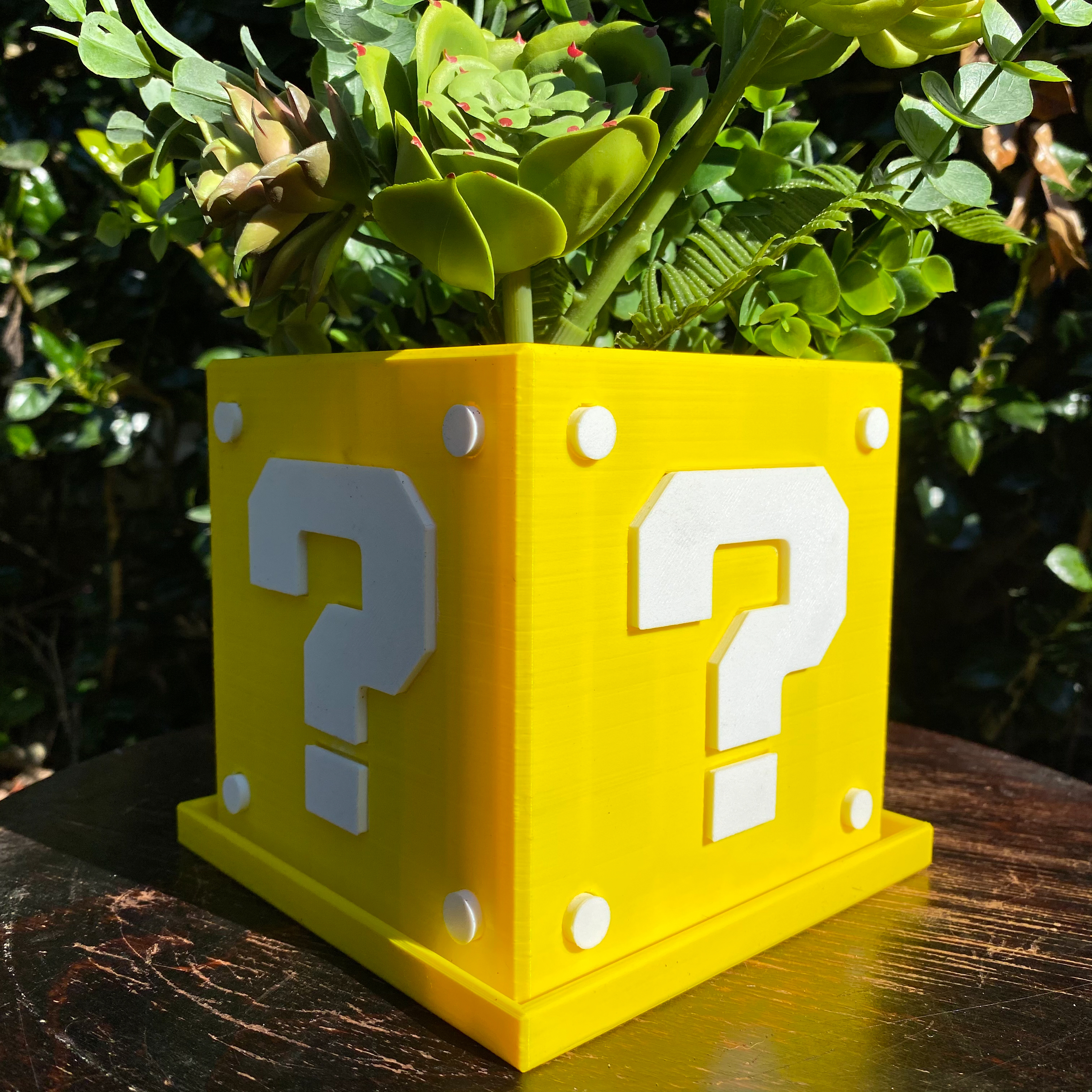 Question Box Planter (Mario Themed) | 2 Versions