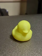 Floating Rubber Duck by Levi Sitts