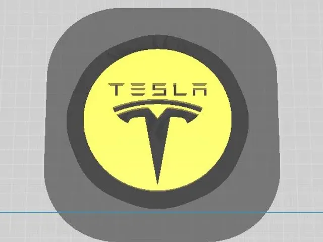 Tesla coaster