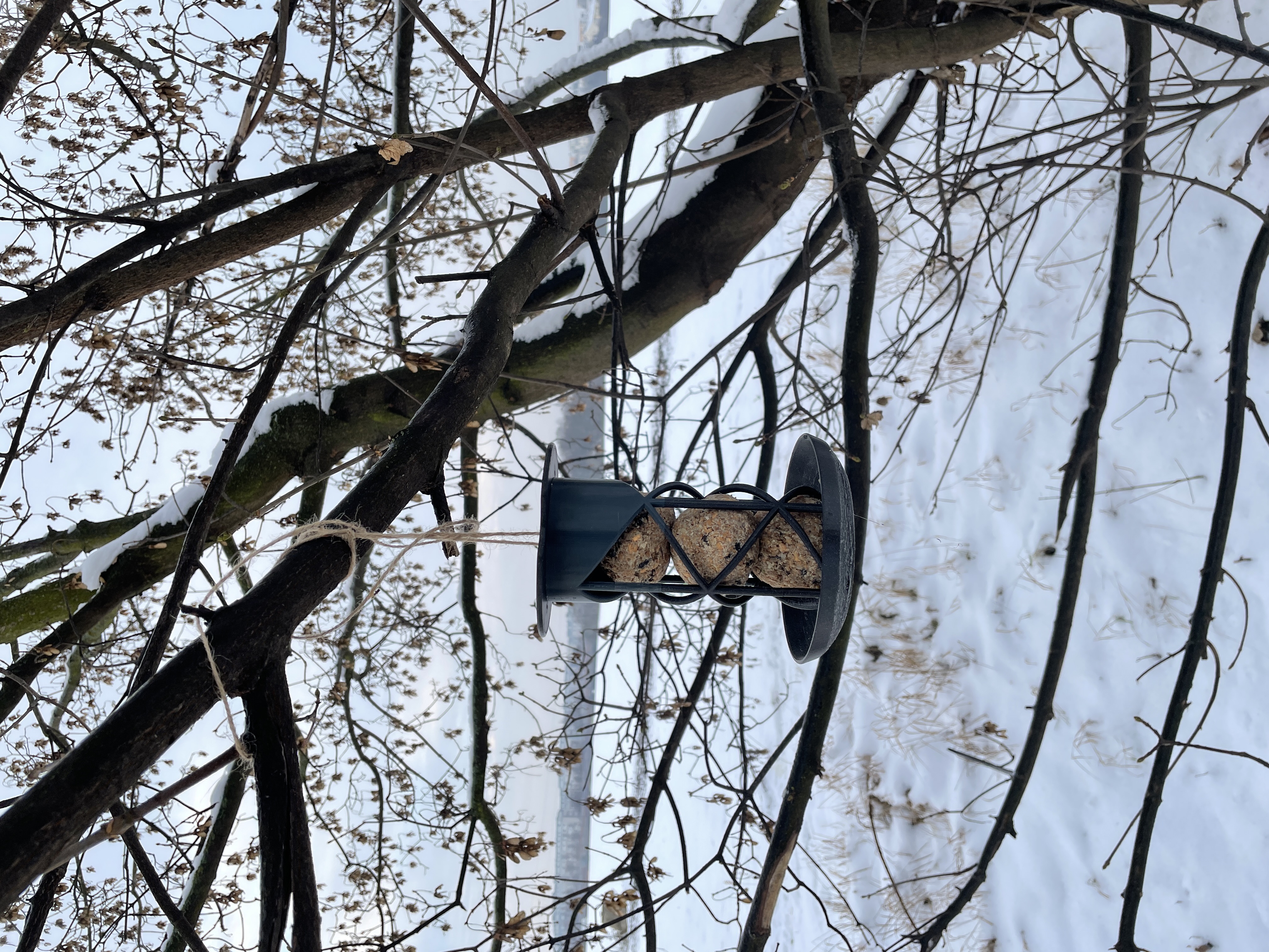Ptačí krmítko na lojové koule. Bird feeder for tallow balls.
