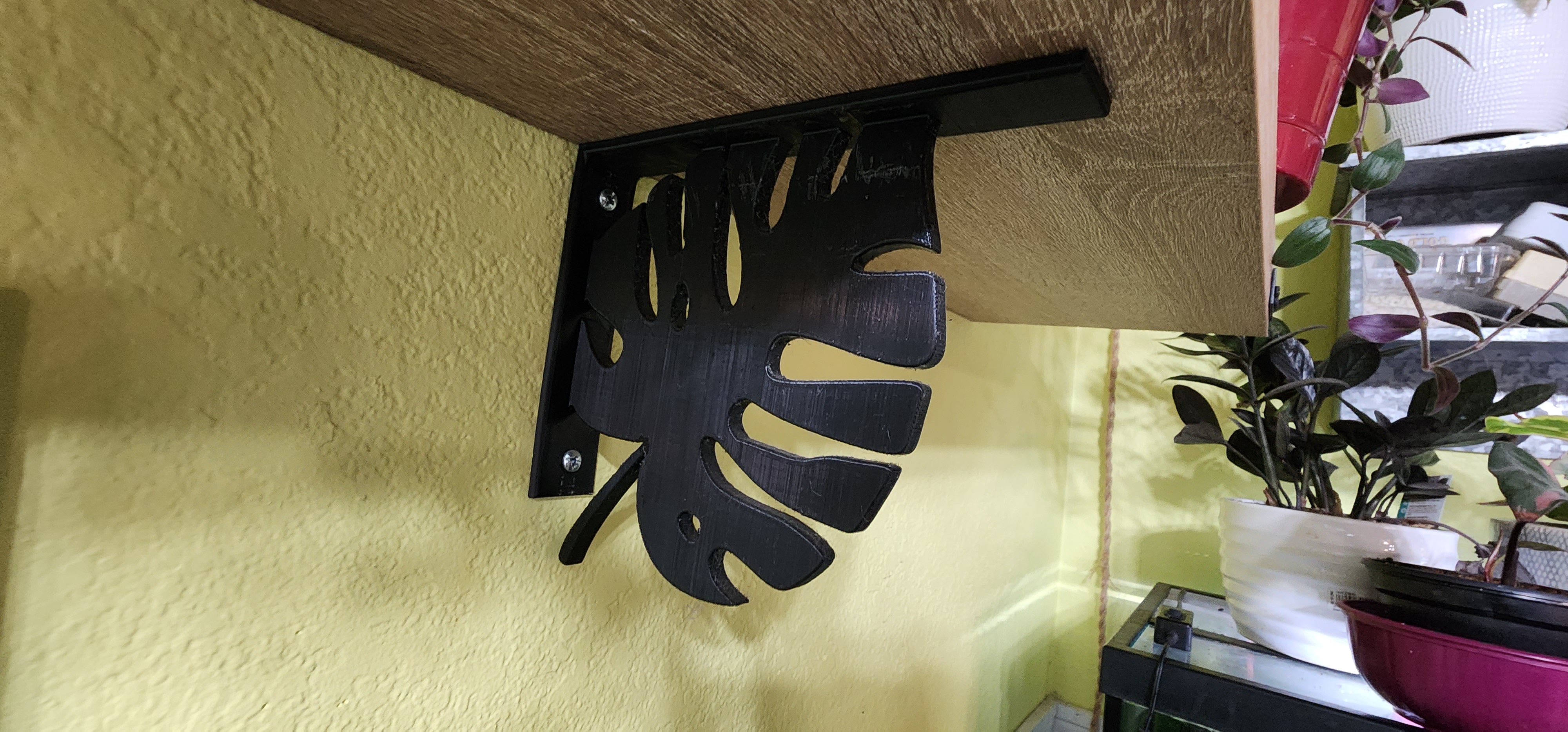 Monstera bracket
