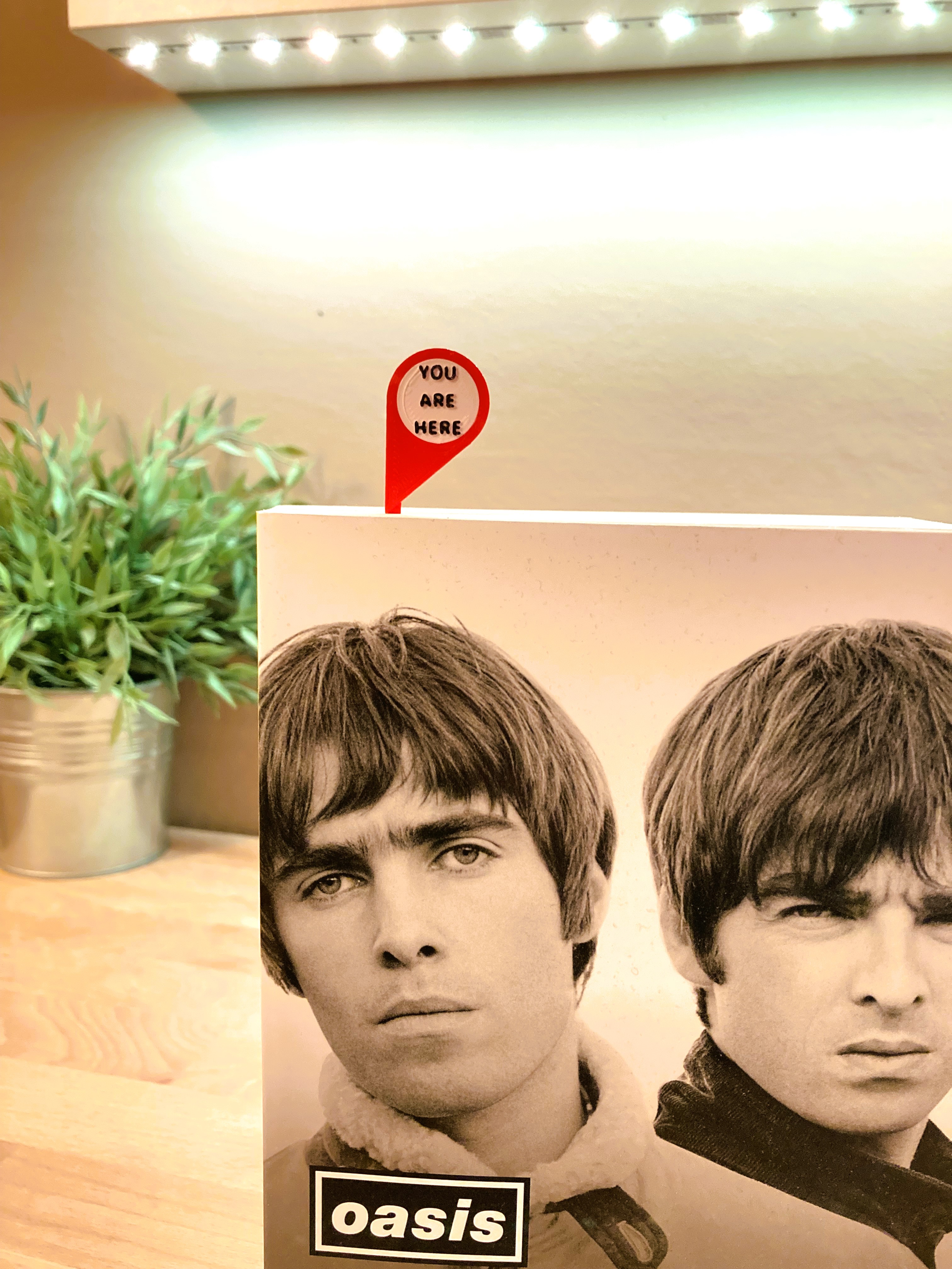 YOU ARE HERE BOOKMARK