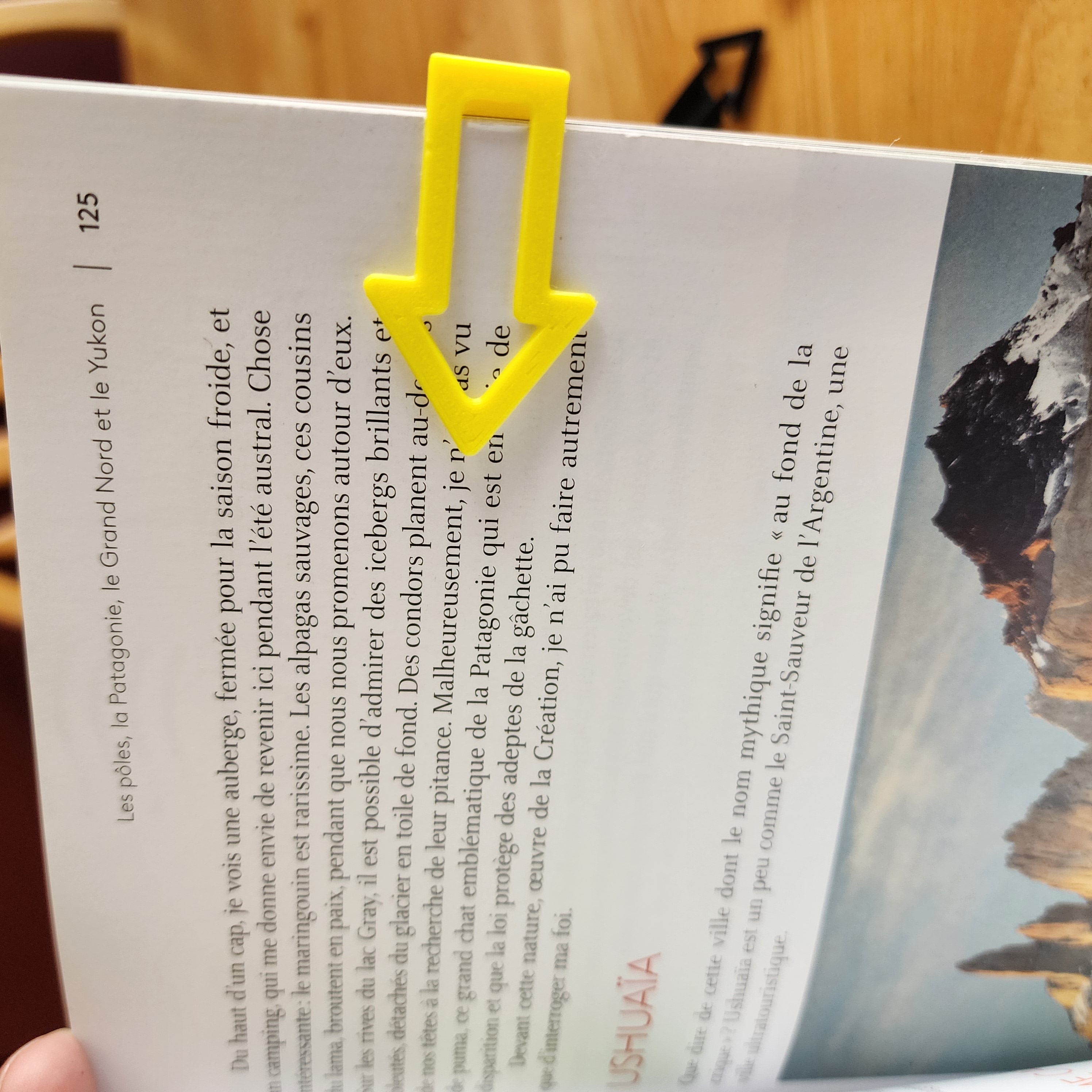 BOOKMARK