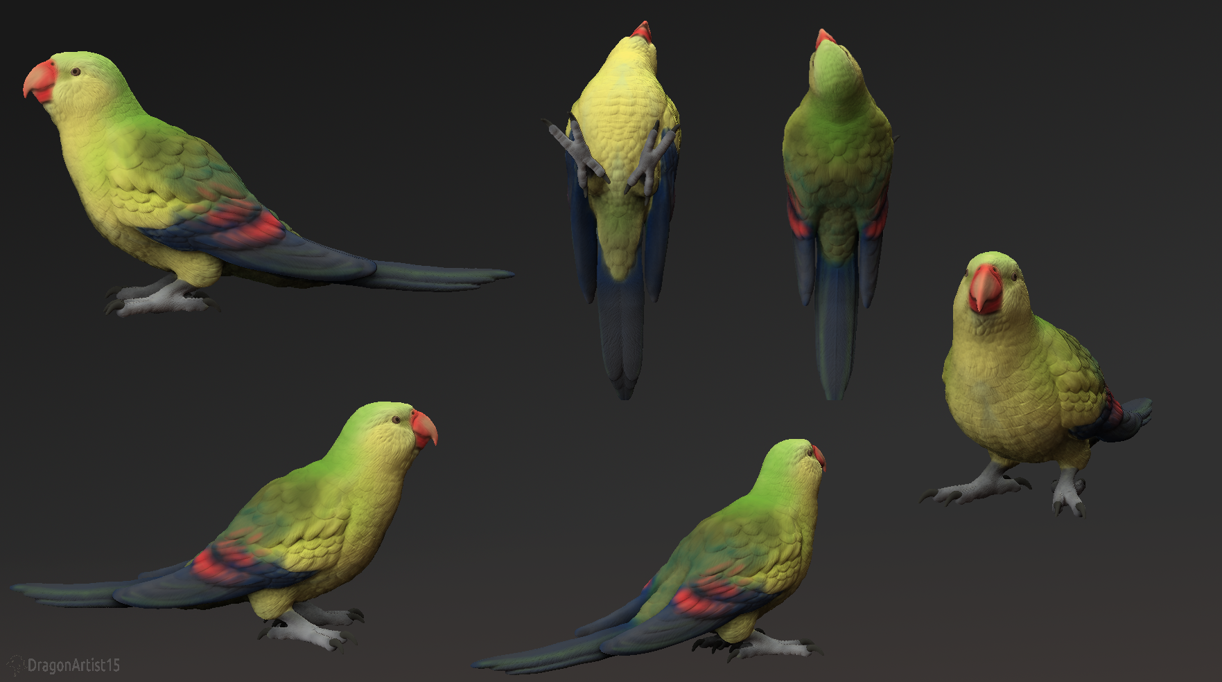 Regent Parrot Figurine