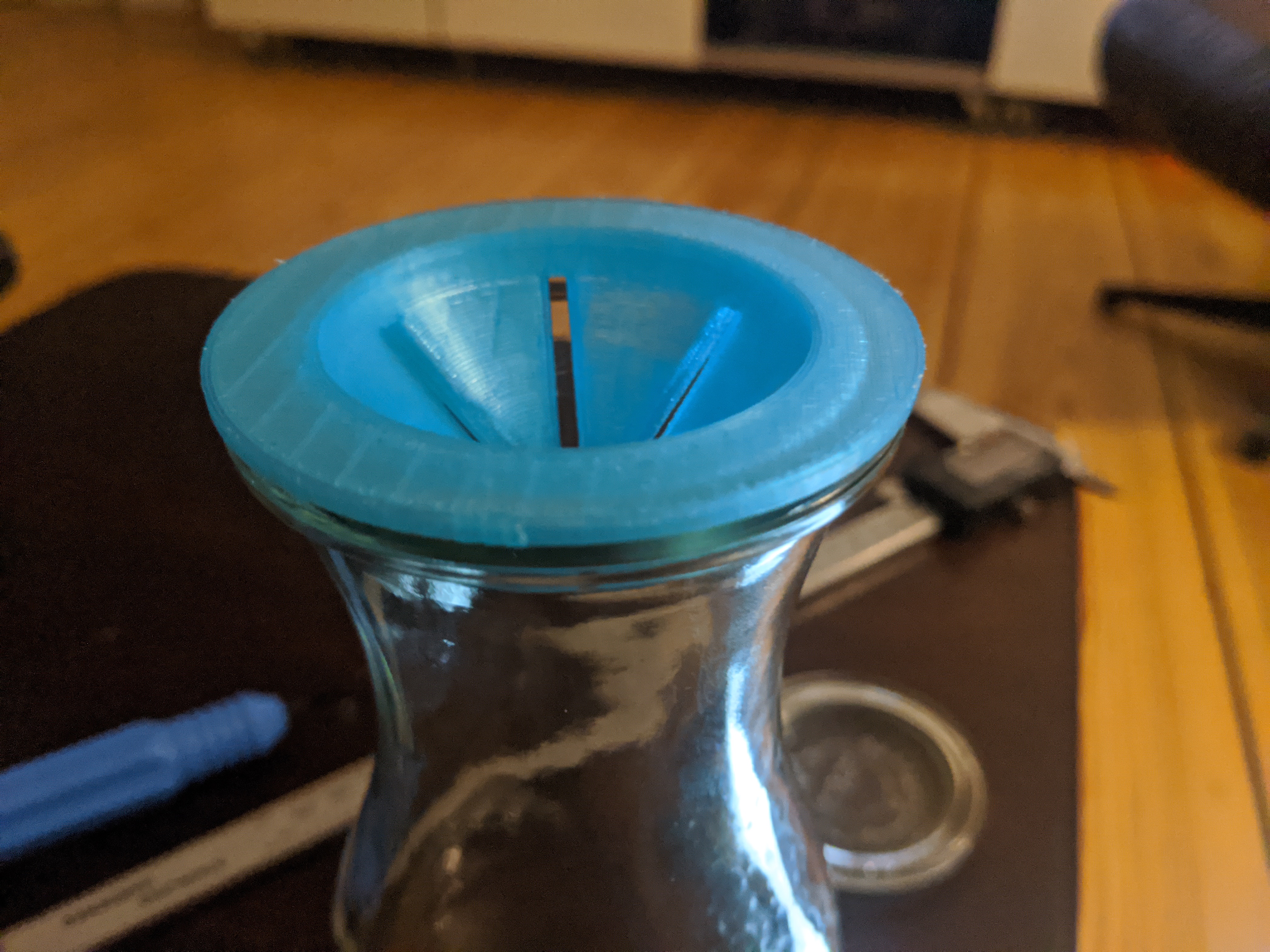 Plant Holder for Bottle Hydroponics