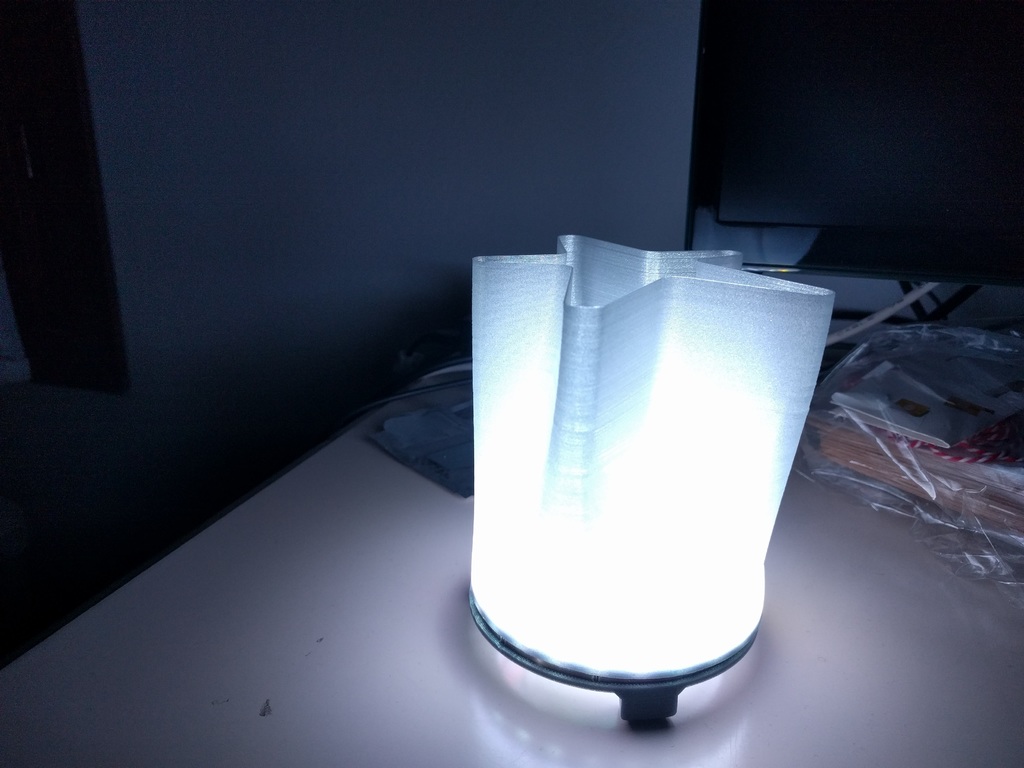 Star Lamp / Vase