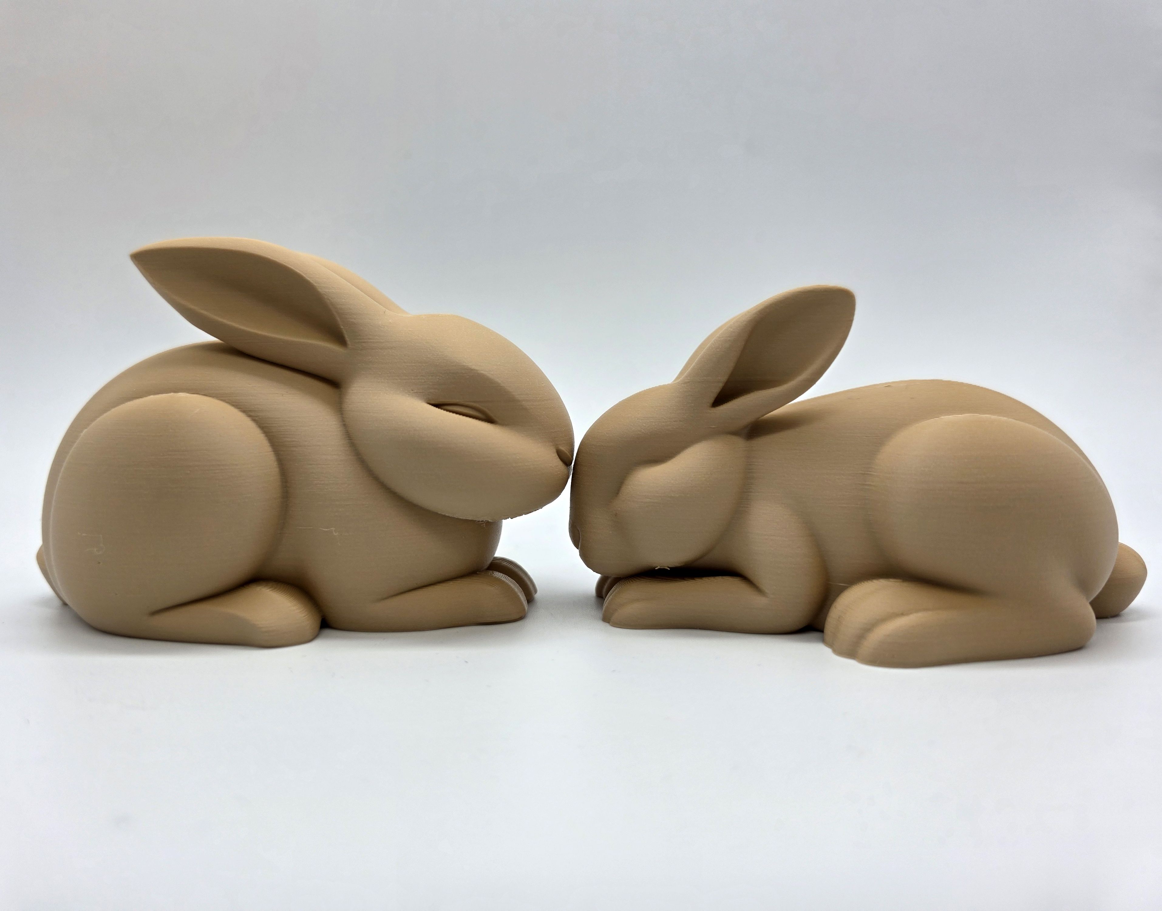 2 Cute Sleepy Rabbits