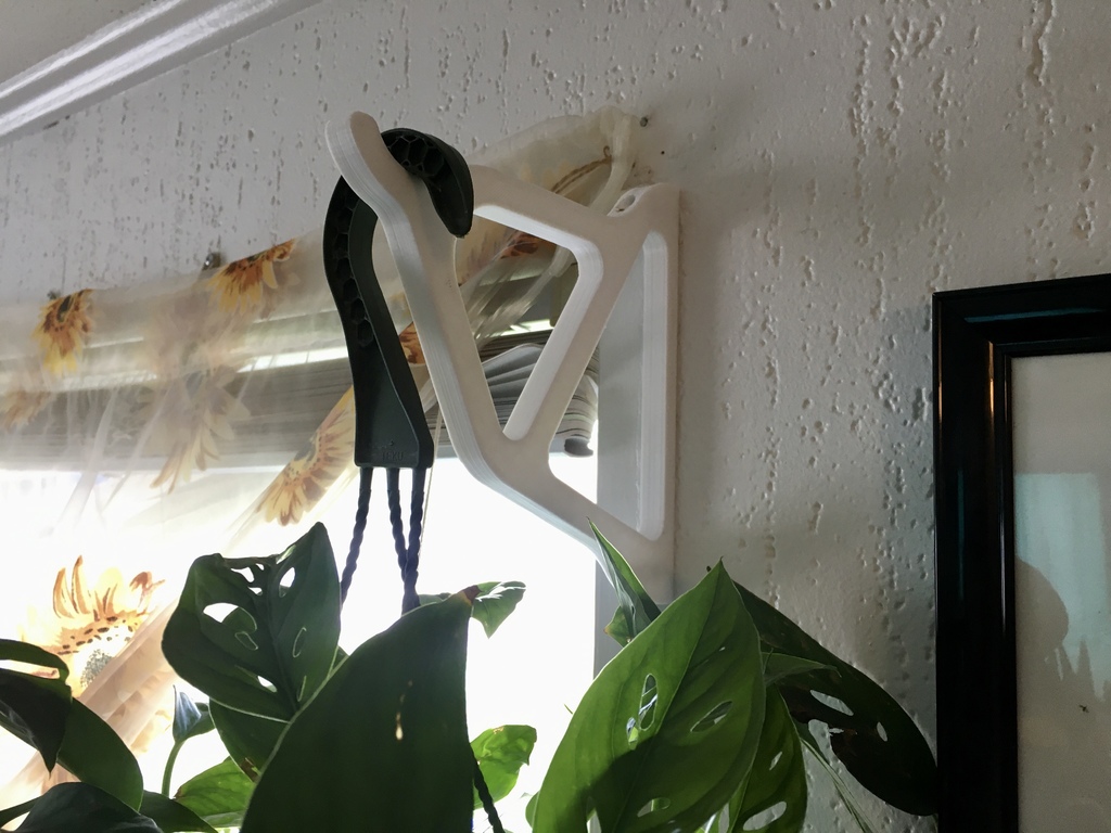 Wall Mounted Hanging Plant Hook