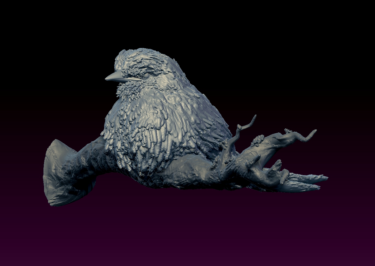 Miniatura 3 do modelo 3D Bird on branch