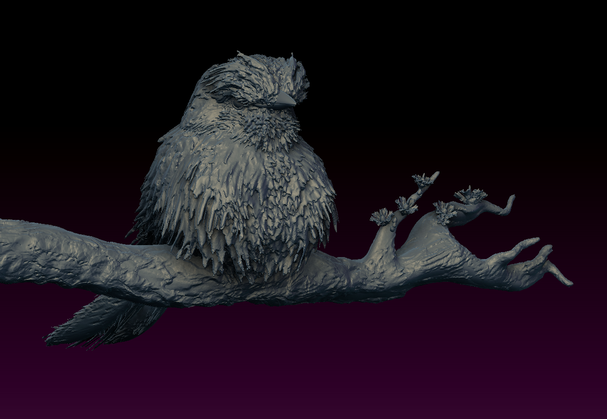 Miniatura 4 do modelo 3D Bird on branch