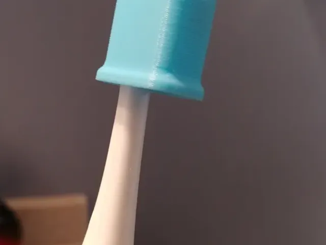 Spinbrush head cover, scale for any toothbrush.