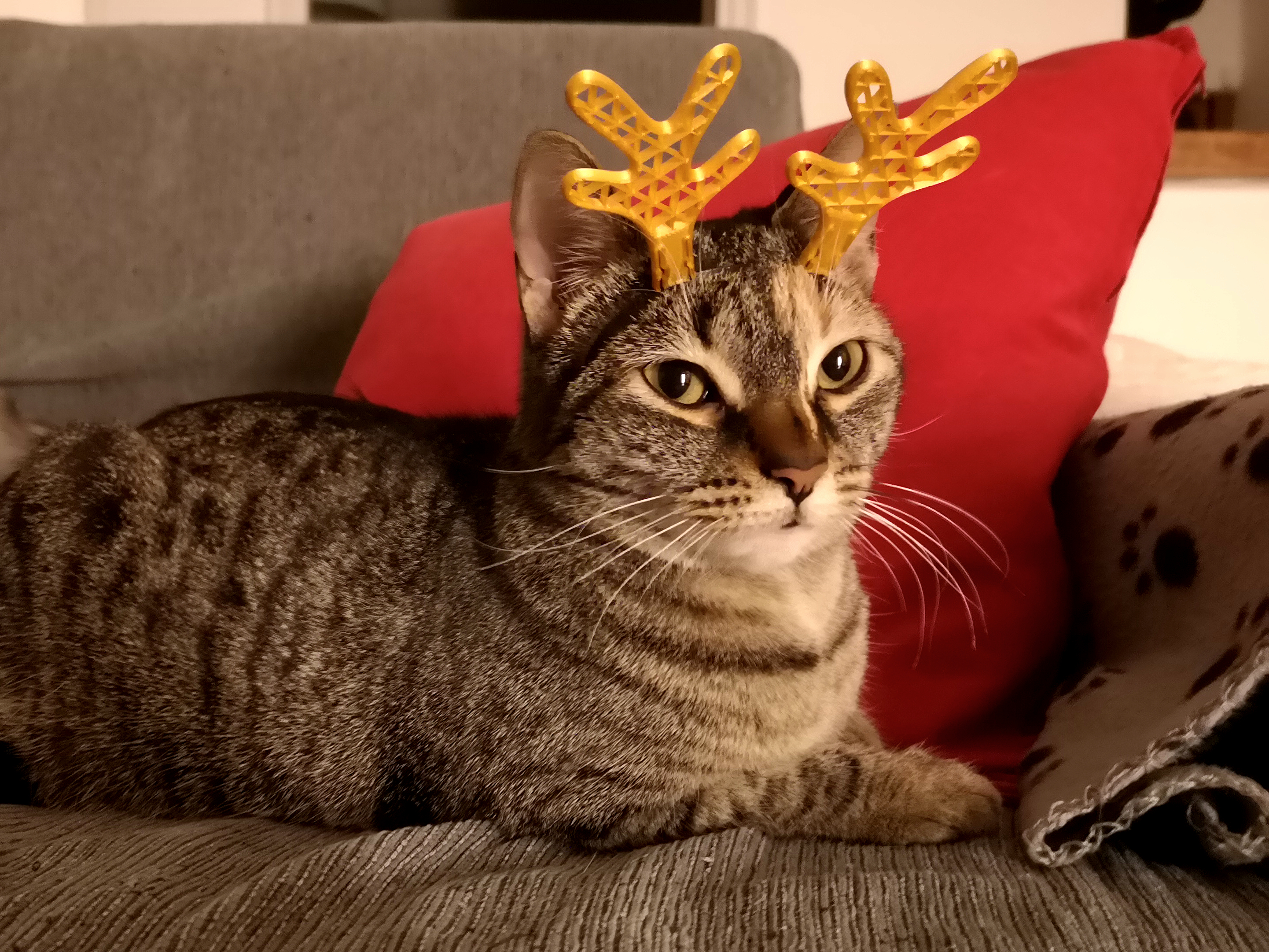 Christmas Cat Decoration