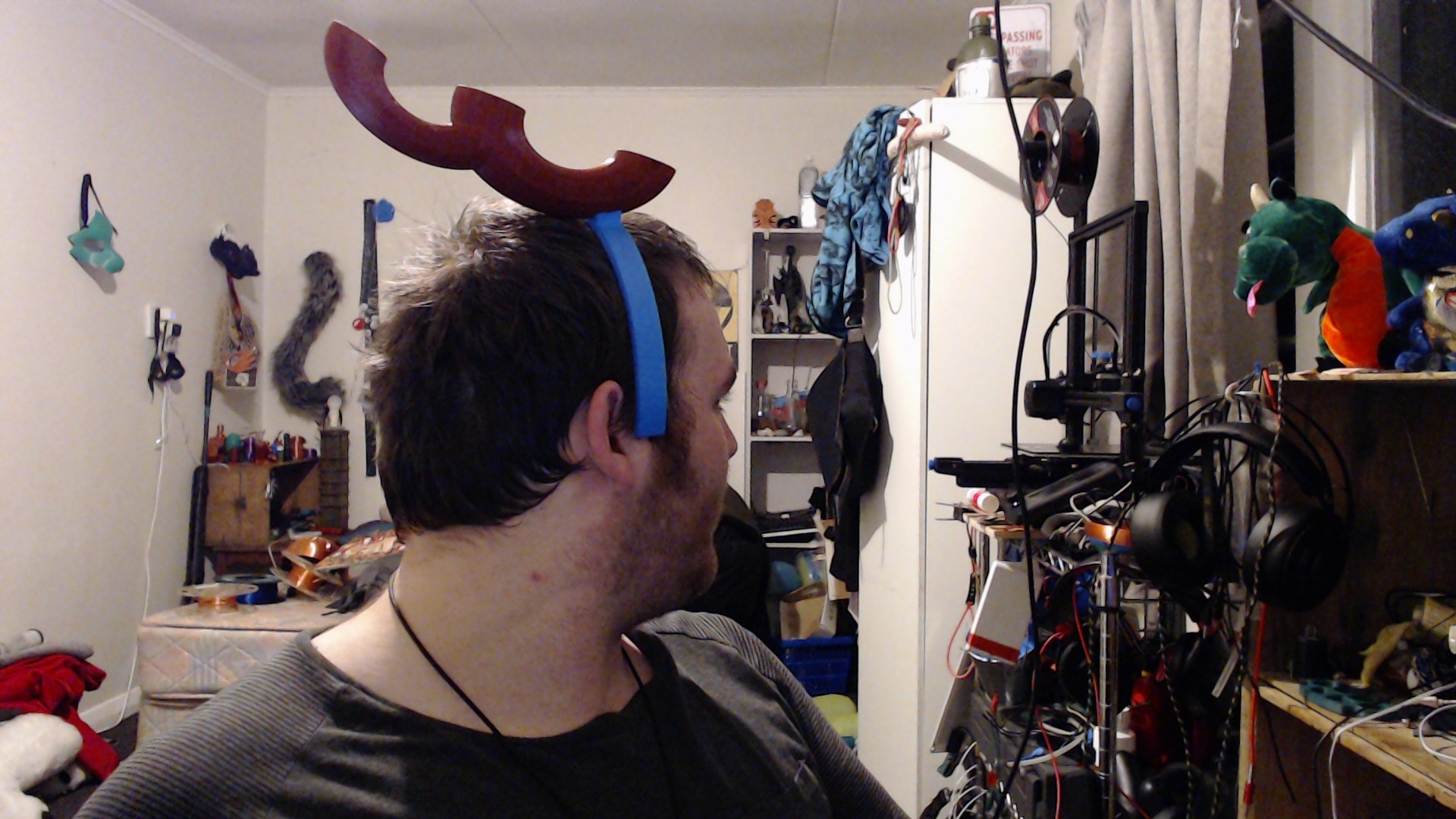 reindeer antlers