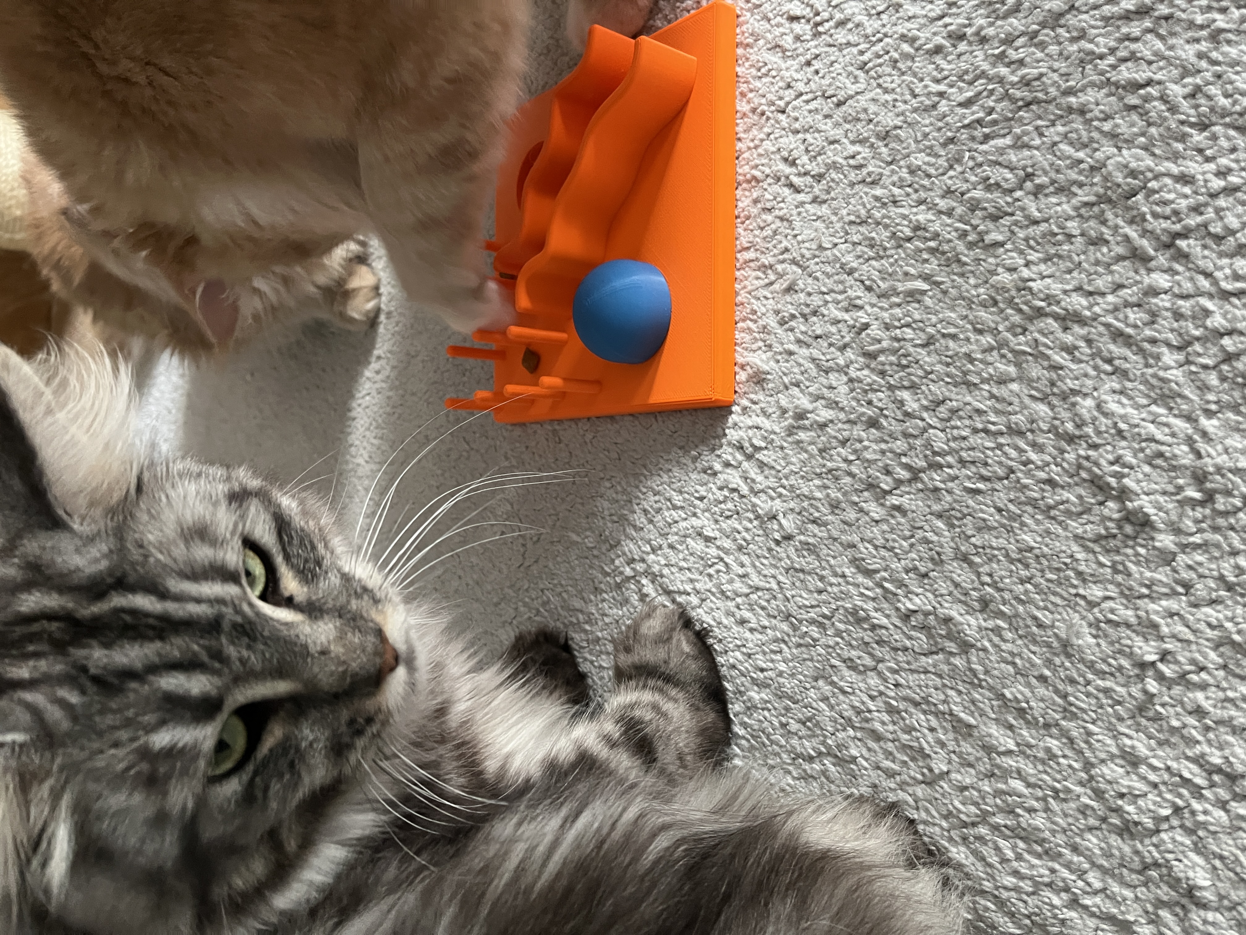 Cat Toy, Katzenspielzeug