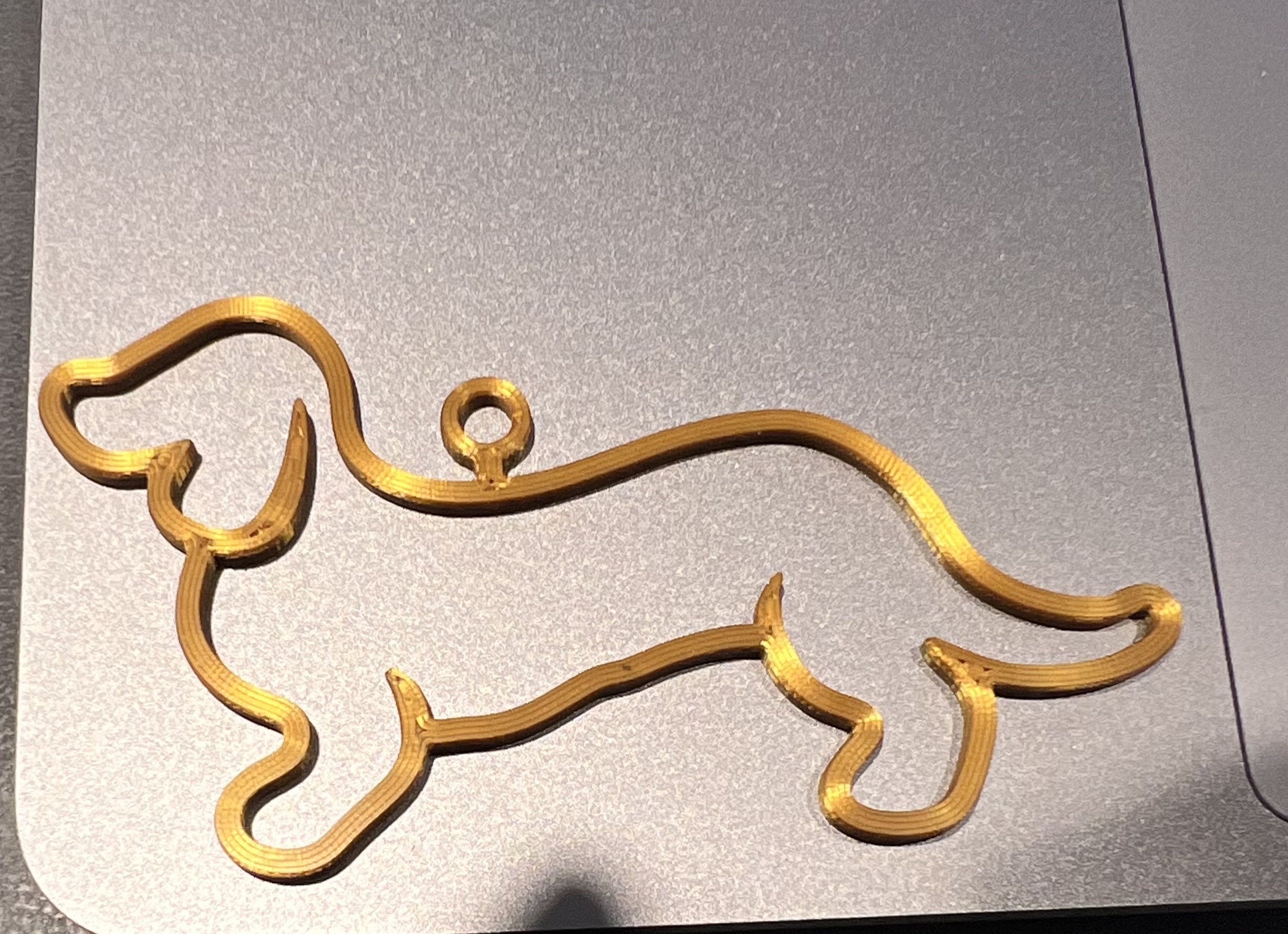 Jezevčík / Dachshund