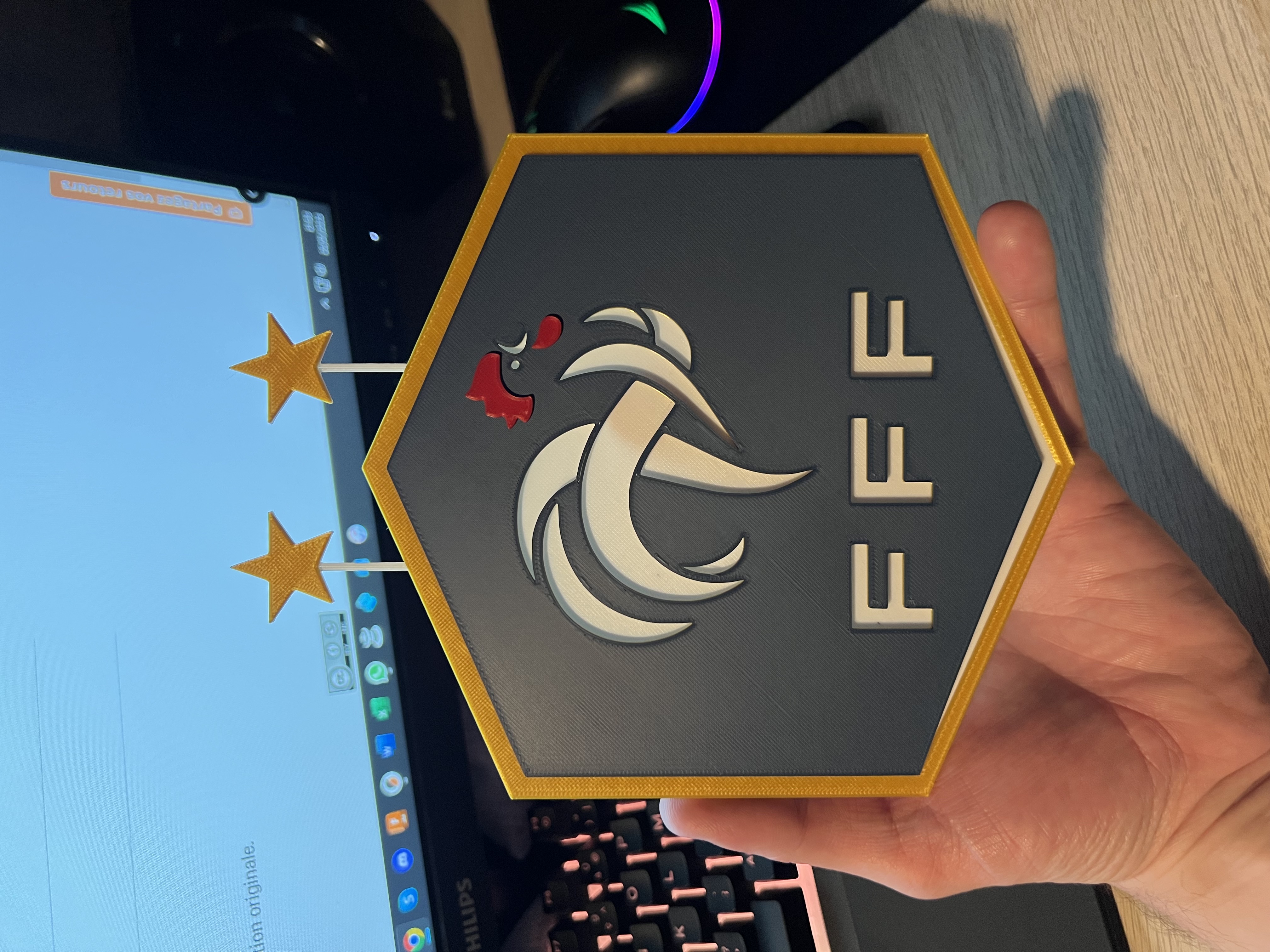 Logo FFF