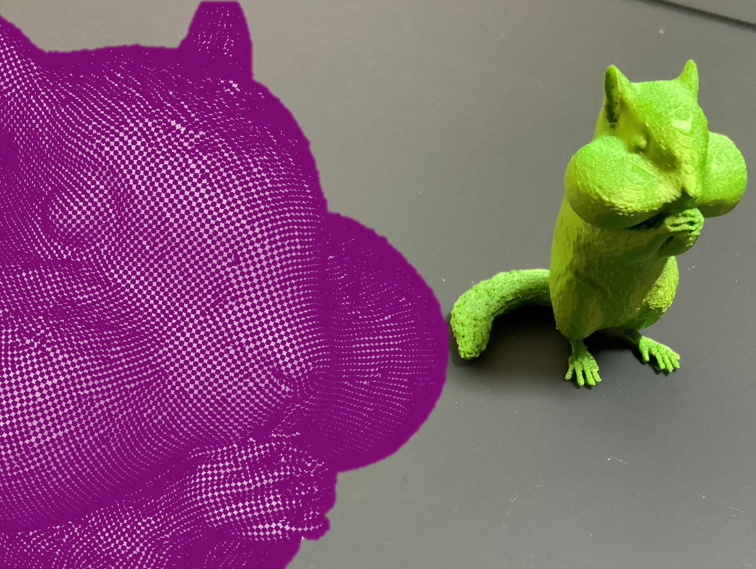 Squirrel/Risu - 3d outline