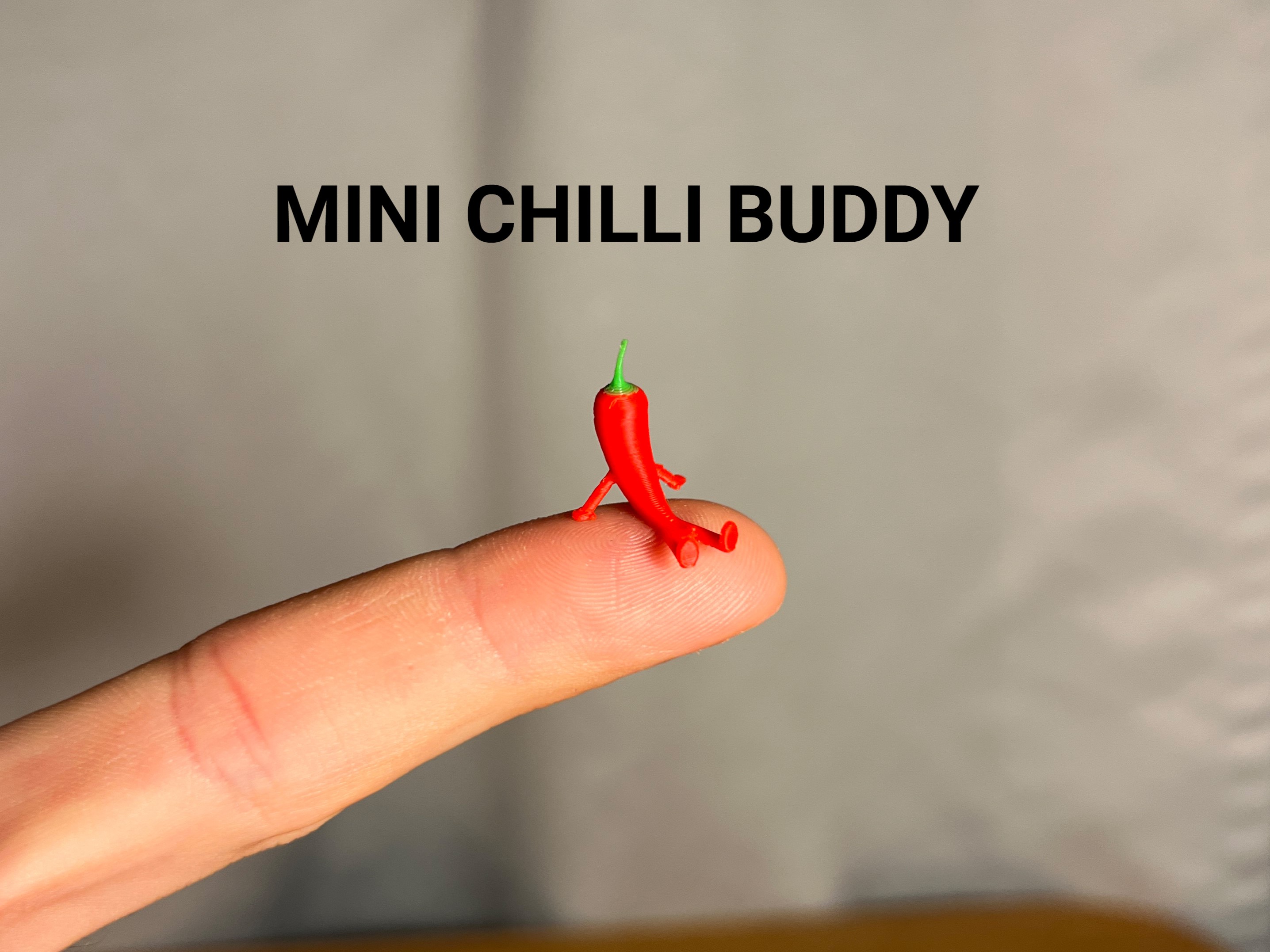 Mini Chilli Buddy