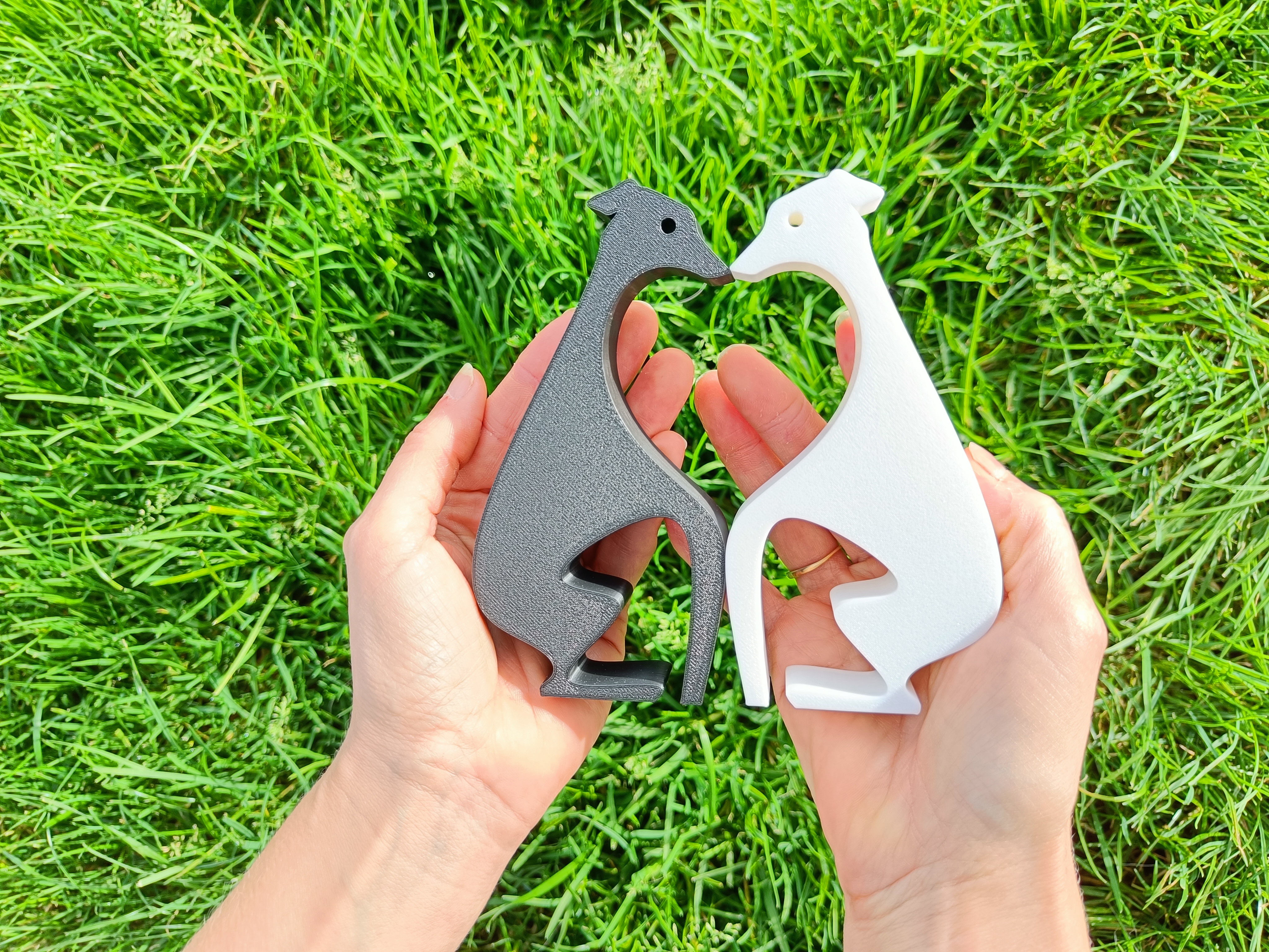 Greyhound Dog heart