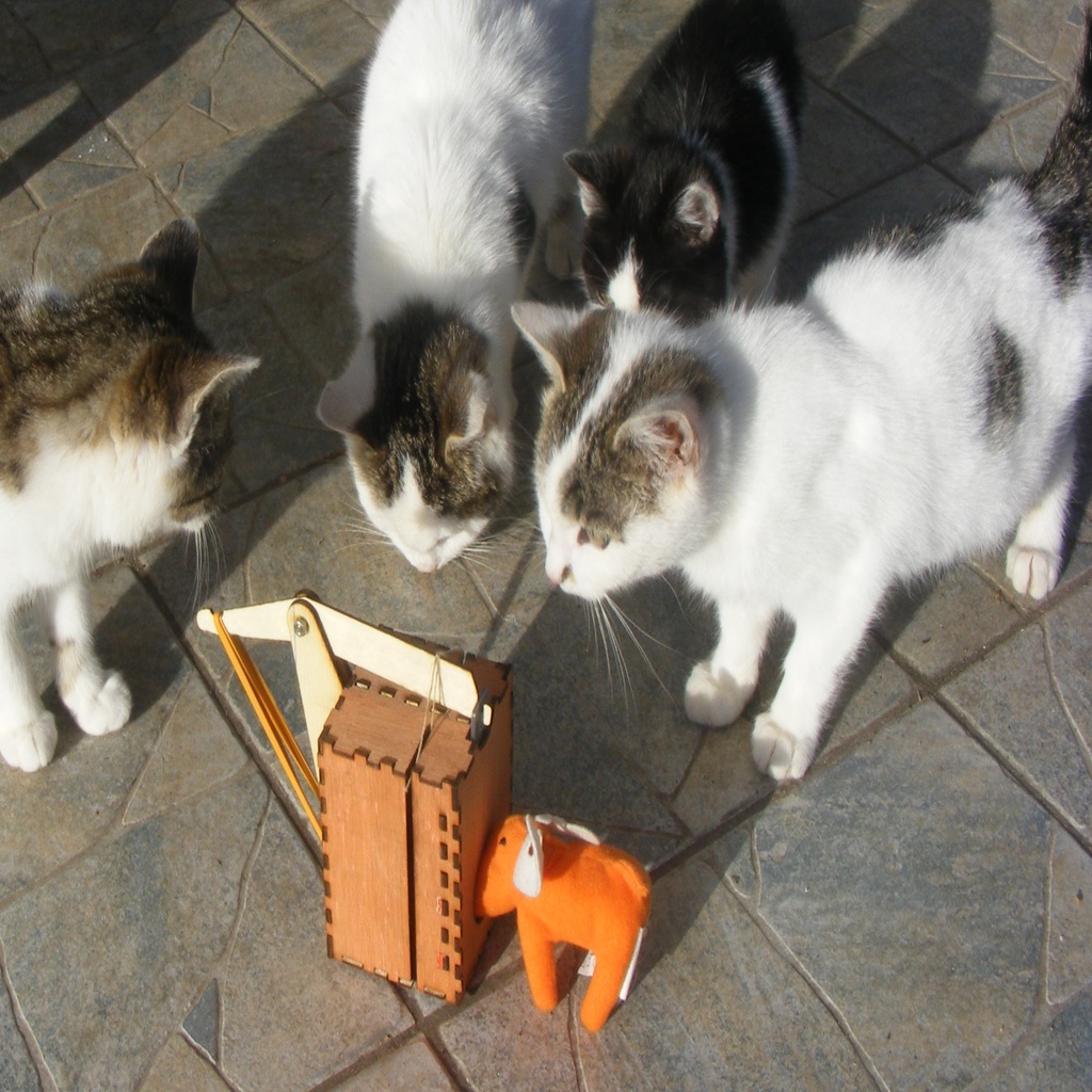 Mousetrap lasercut