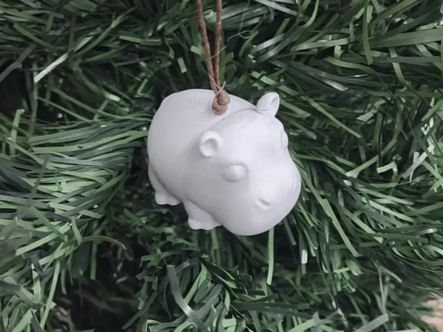 A Hippopotamus for Christmas
