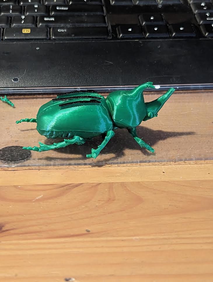 Beetle Token for games