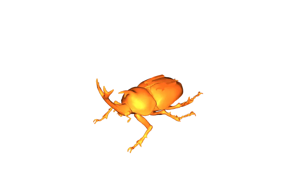 Beetle Token for games by Donny29 | Download free STL model ...