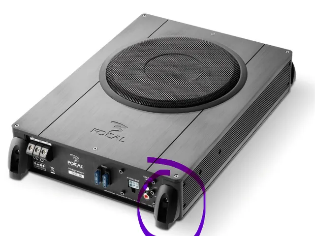 Focal Ibus 20 replacement leg