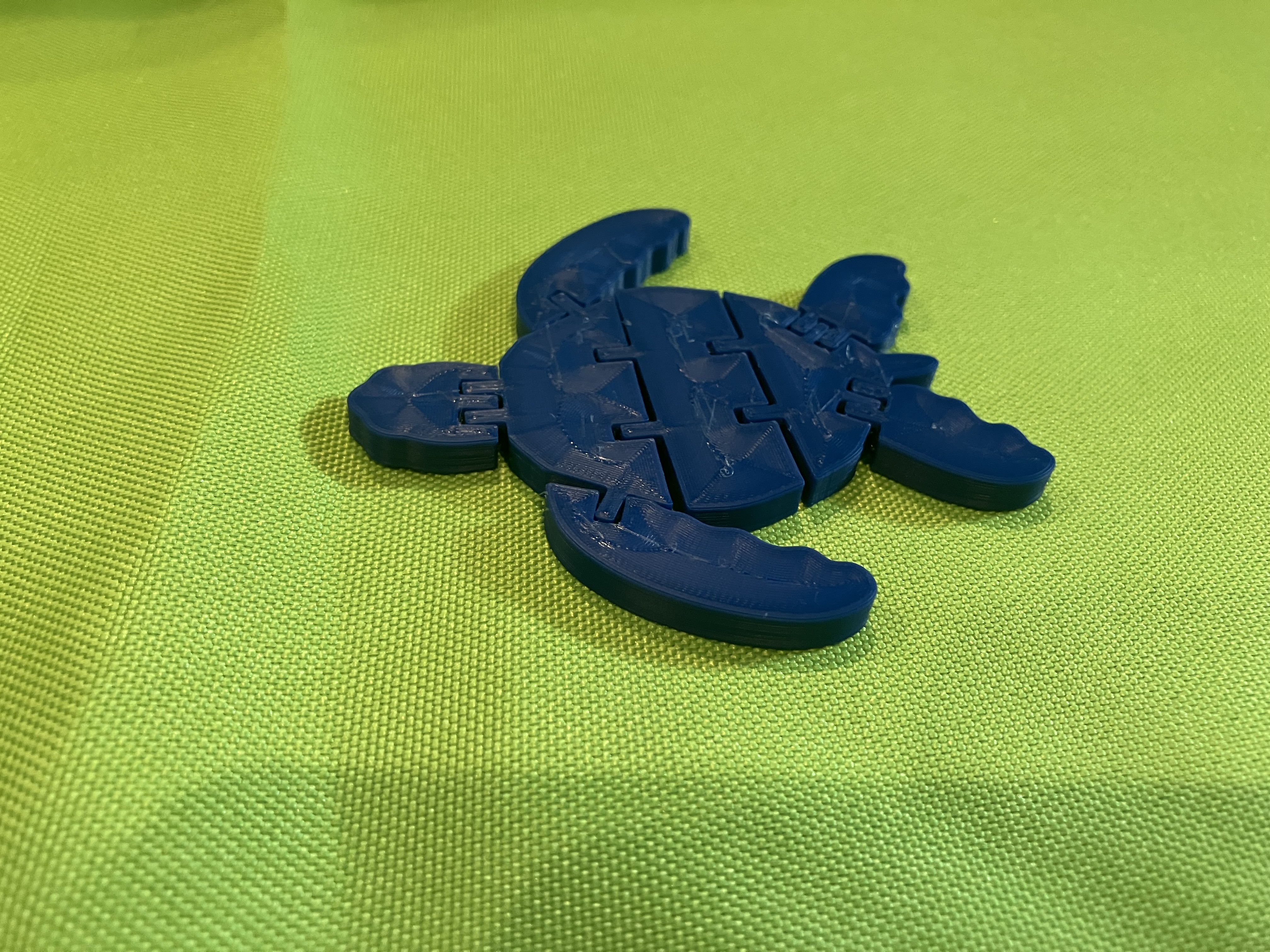 Miniatura 4 do modelo 3D Flexi Turtle