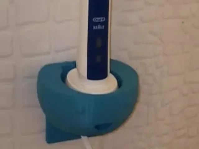Braun Oral-B Removable Toothbrush Holder