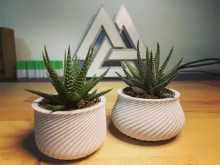 Vases for IKEA Haworthia Universe plant by PrimoCenturio | Download free  STL model | Printables.com