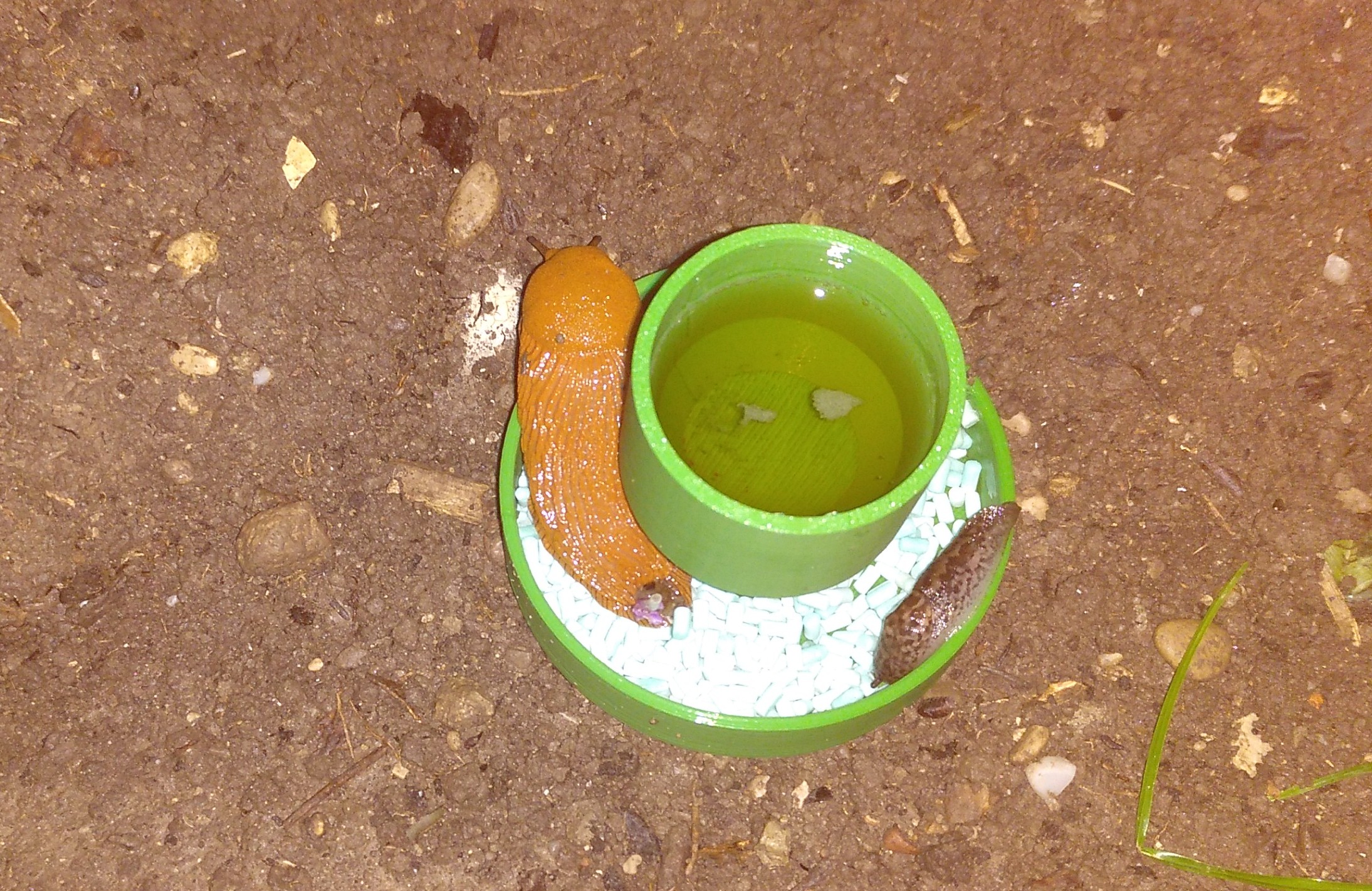 Image 8