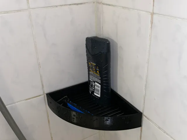 Shampoo Halter Bad