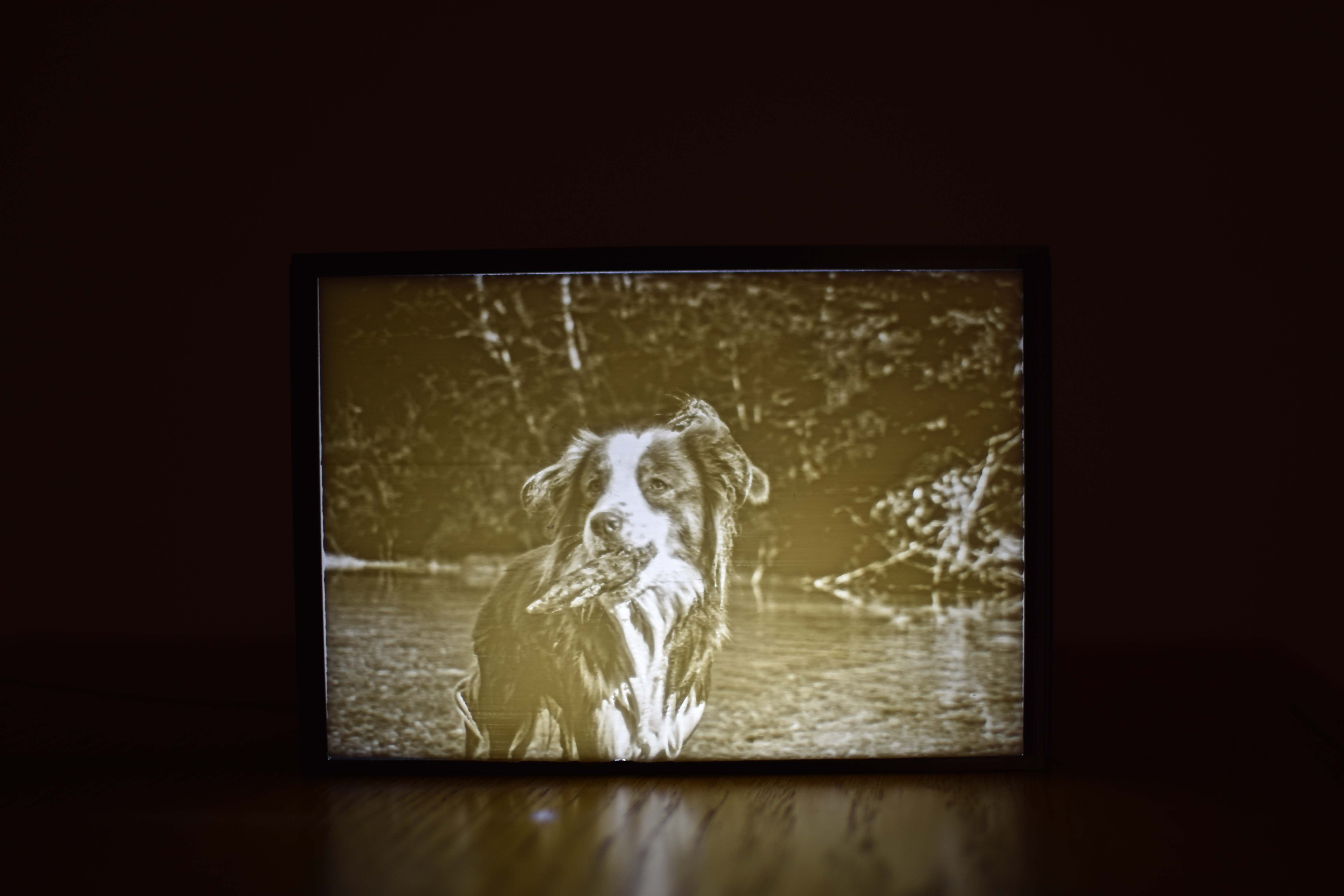 Lithophane case with light